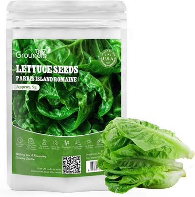Semillas lechuga Romaine Parris Island hidropónicos 7000 semillas