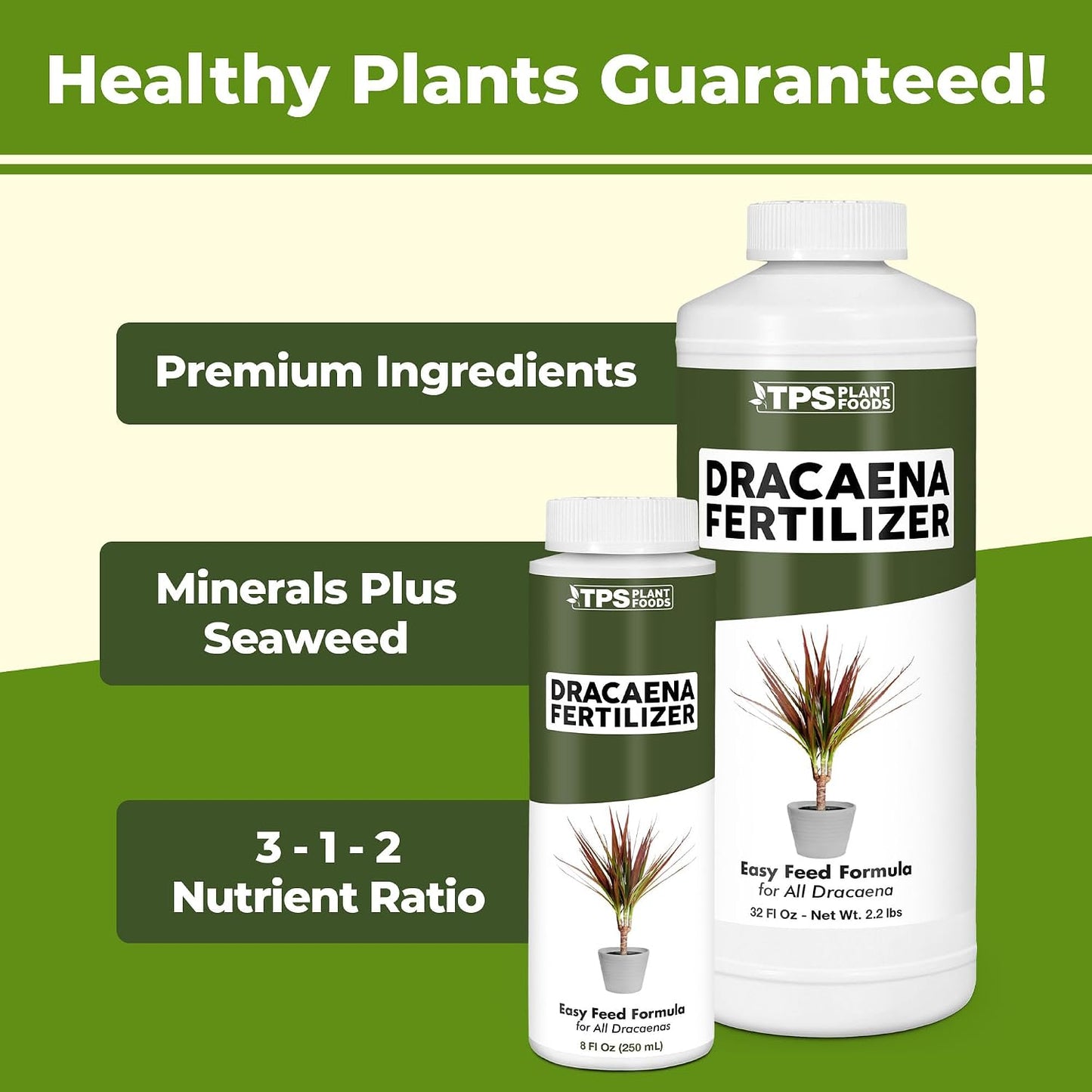 Fertilizante Dracaena para hojas verdes 8oz
