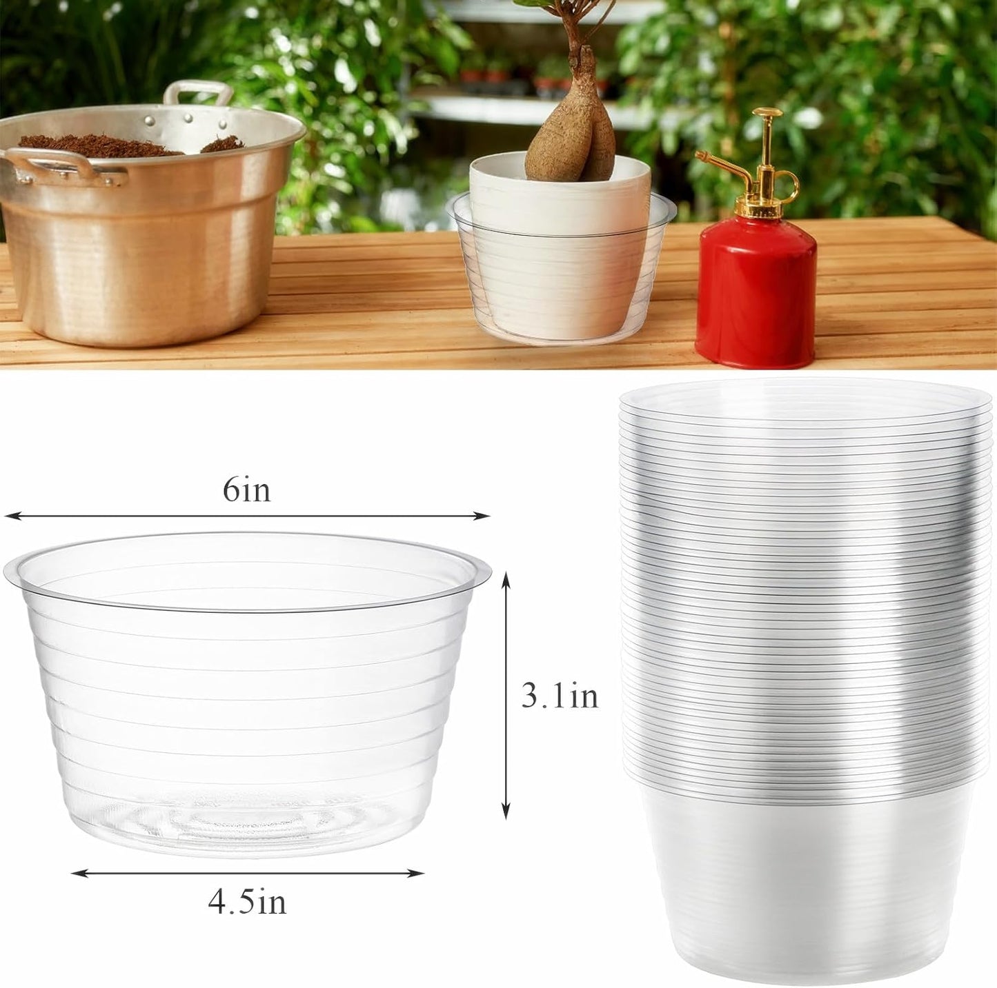 50 Platillos Plástico Transparente 6pulg Riego Plantas