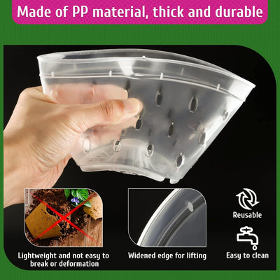 8 Macetas Orquídeas Plástico Transparente 5.5pulg Con Platillos