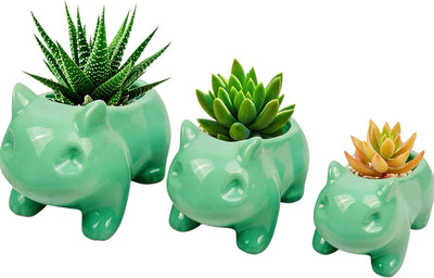 3 Pzas Macetas Cerámica Forma Animal para Cactus y Flores
