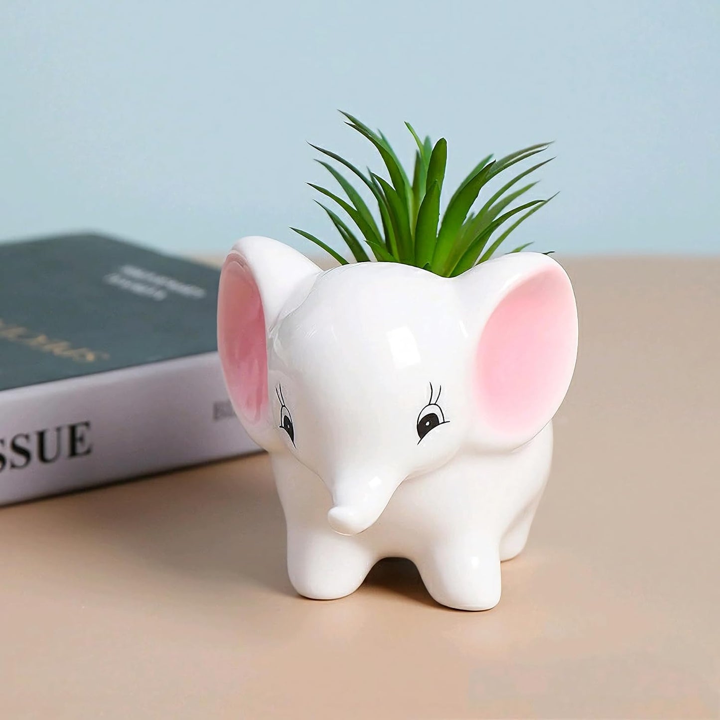 Macetas cerámica elefante con suculentas y cactus rosa y blanco