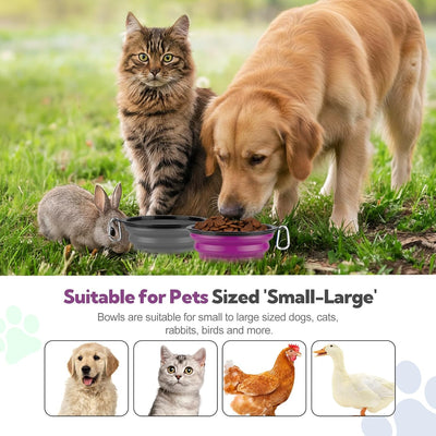 2 Pzas Cuencos Plegables para Perros con Mosquetones