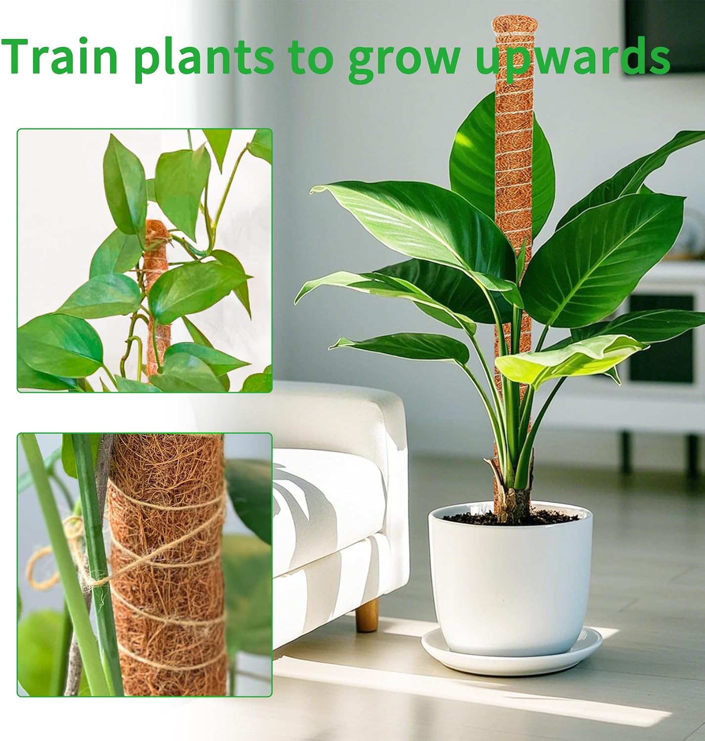 2 Postes Musgo 60pulg Soporte Plantas Monstera