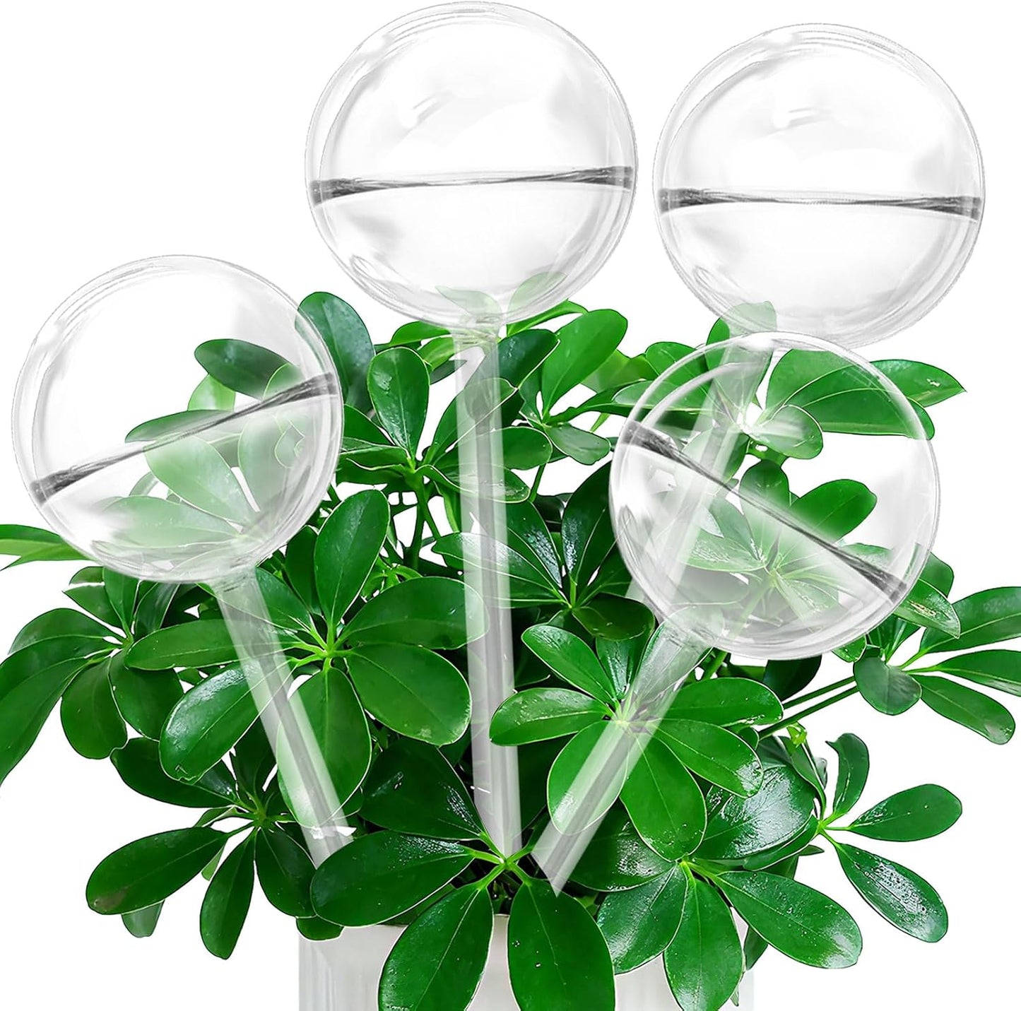 Globos riego automático vidrio transparente para macetas
