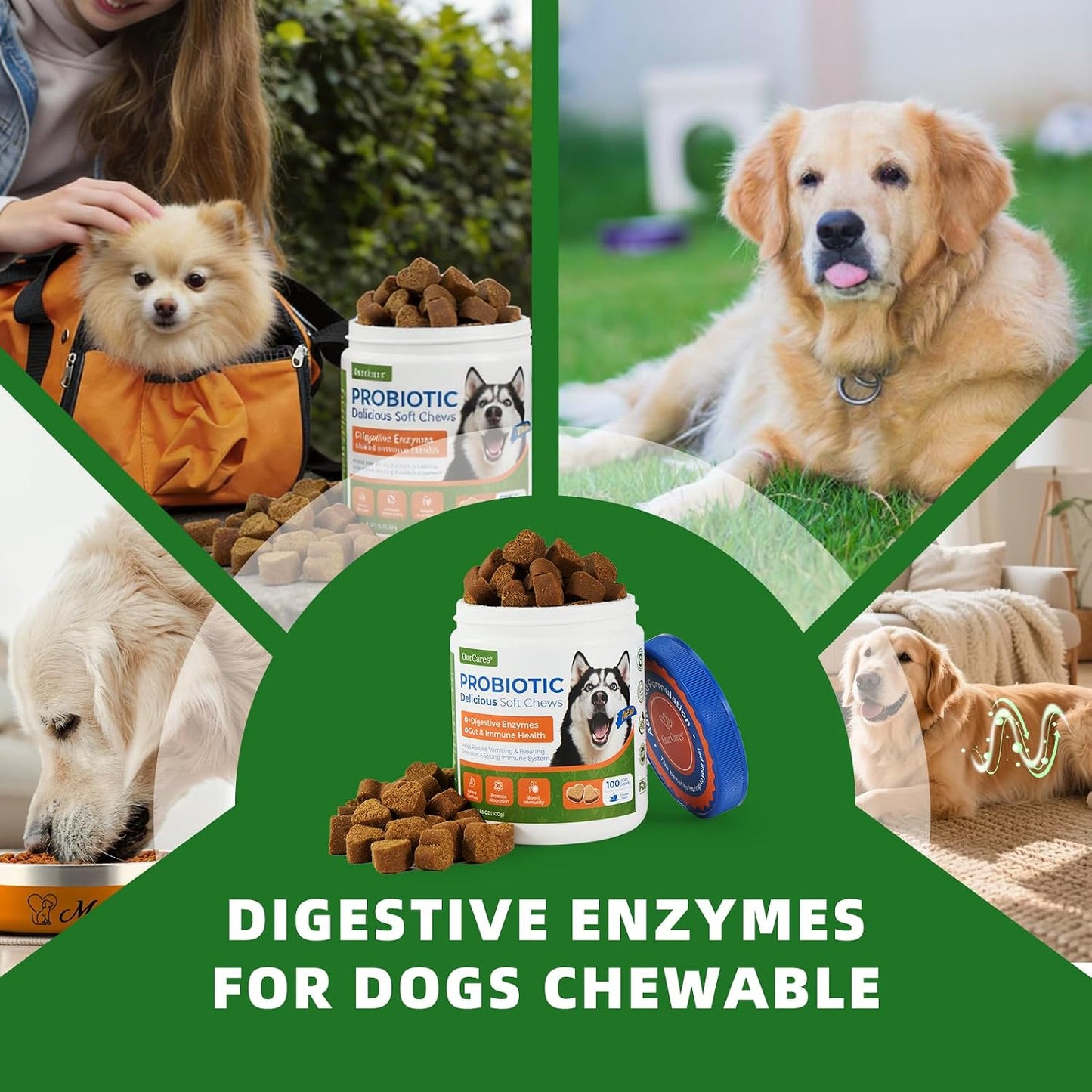 Probióticos perros con enzimas y calabaza para digestión