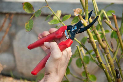 Podadora manual derivación 3/4pulg color rojo