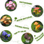 Figuritas resina setas 6 pzas decoración jardín hadas miniatura