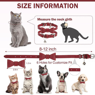 Collar cuero gato con campana hebilla seguridad ajustable