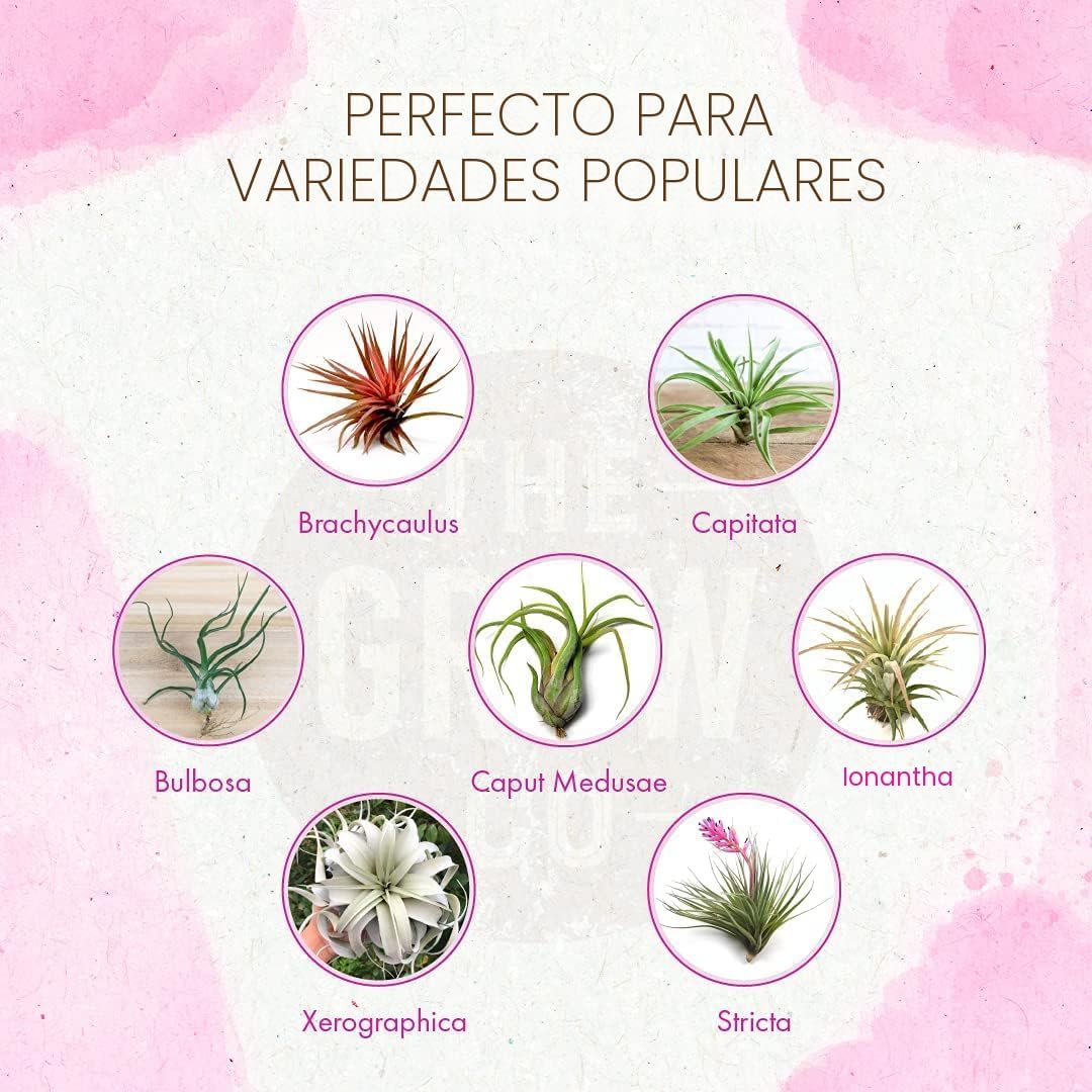 Fertilizante orgánico para plantas de aire 8oz