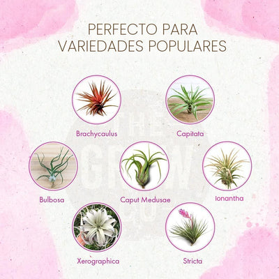 Fertilizante orgánico para plantas de aire 8oz