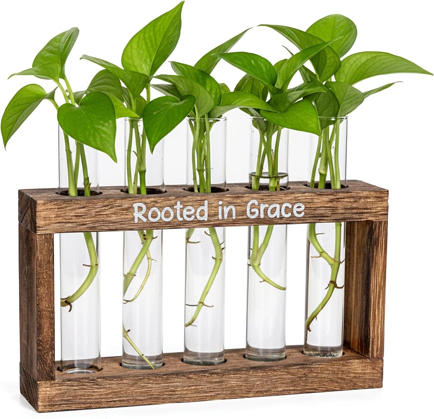Soporte madera 5 jarrones vidrio regalo cristiano para plantas