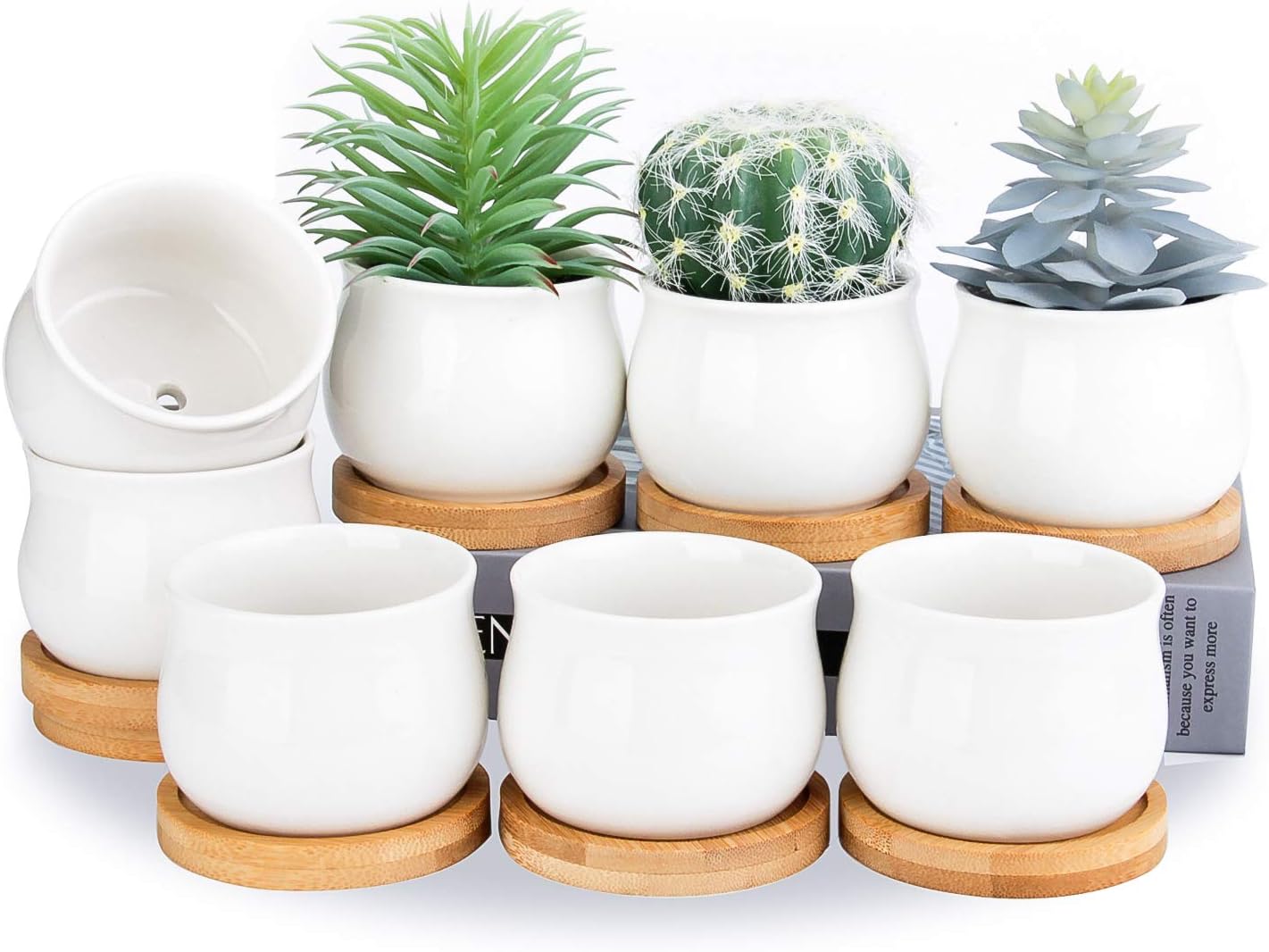 Macetero cerámica blanca 2.6pulg bambú set 8