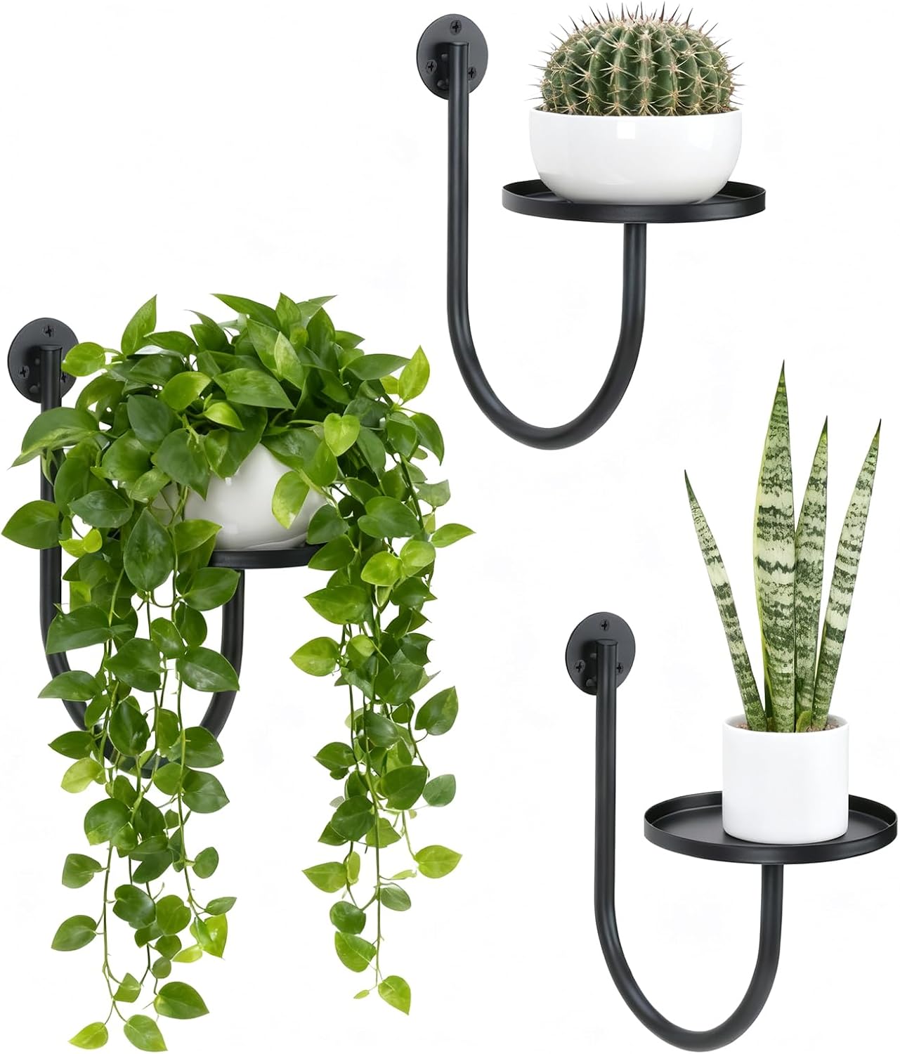 Soporte plantas pared y colgadores interior exterior 3 Pzas negro