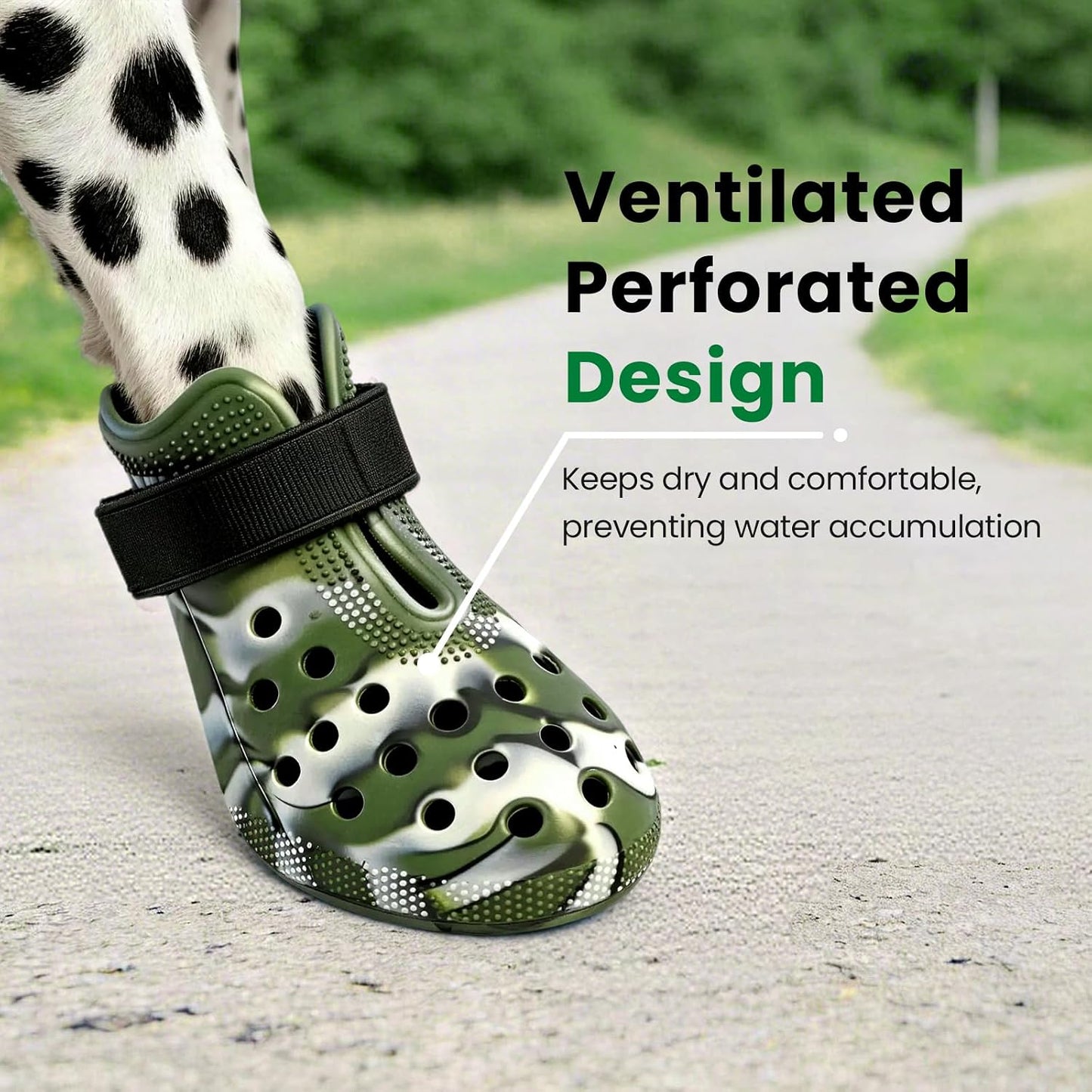 Zapatos perros pavimento caliente antideslizante ajustable