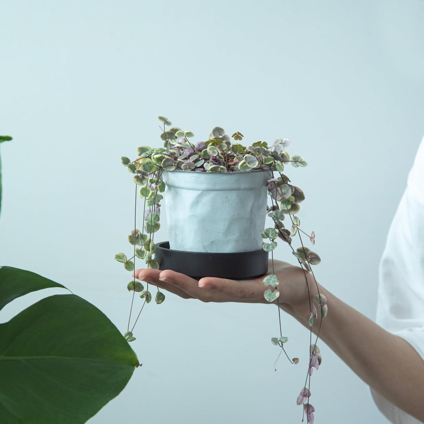 Platillo plástico para plantas 4pulg drenaje redondo negro mate