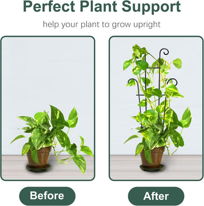 Enrejado plantas trepadoras 23pulg resistente 4P con lazos