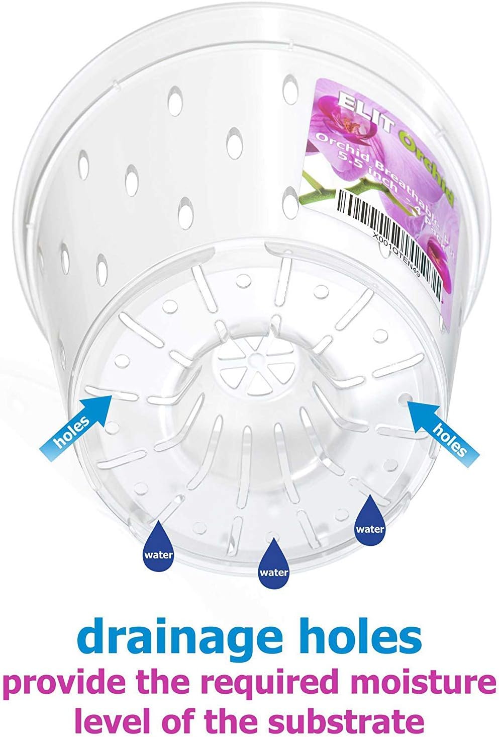 Maceta plástico transparente para orquídeas con orificios