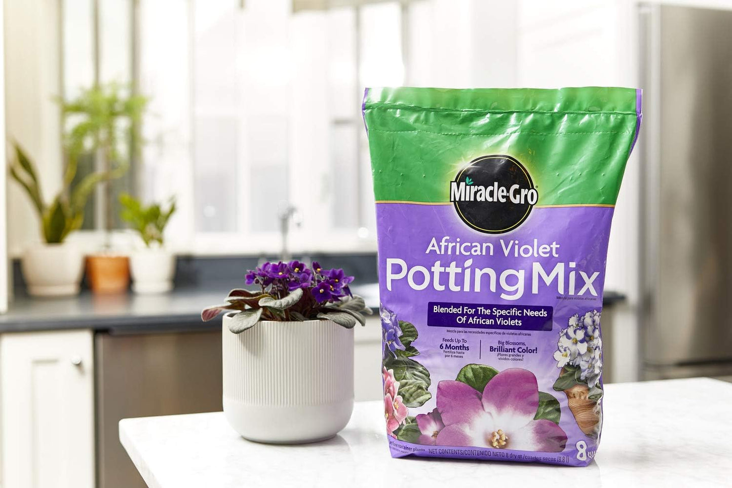 Mezcla para macetas violeta africana 8qt