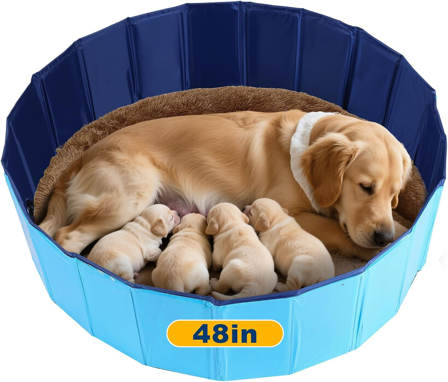 Pluma parto perros plegable piscina plástico 47pulg azul