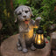 Estatua perro linterna solar regalo patio mamá abuela