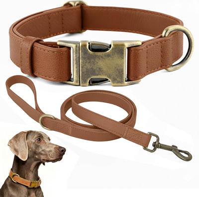 Juego collar y correa silicona para perro impermeable marrón