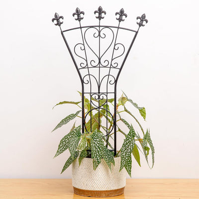 Enrejado metal para plantas 24x12pulg set 3