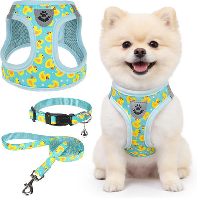 Arnés y collar para perro pequeño transpirable ligero reflectante