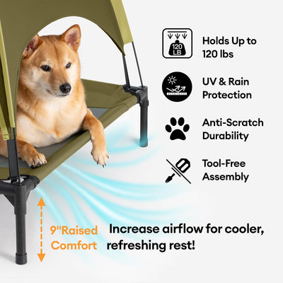 Cama elevada perro dosel verde 24x18pulg malla transpirable
