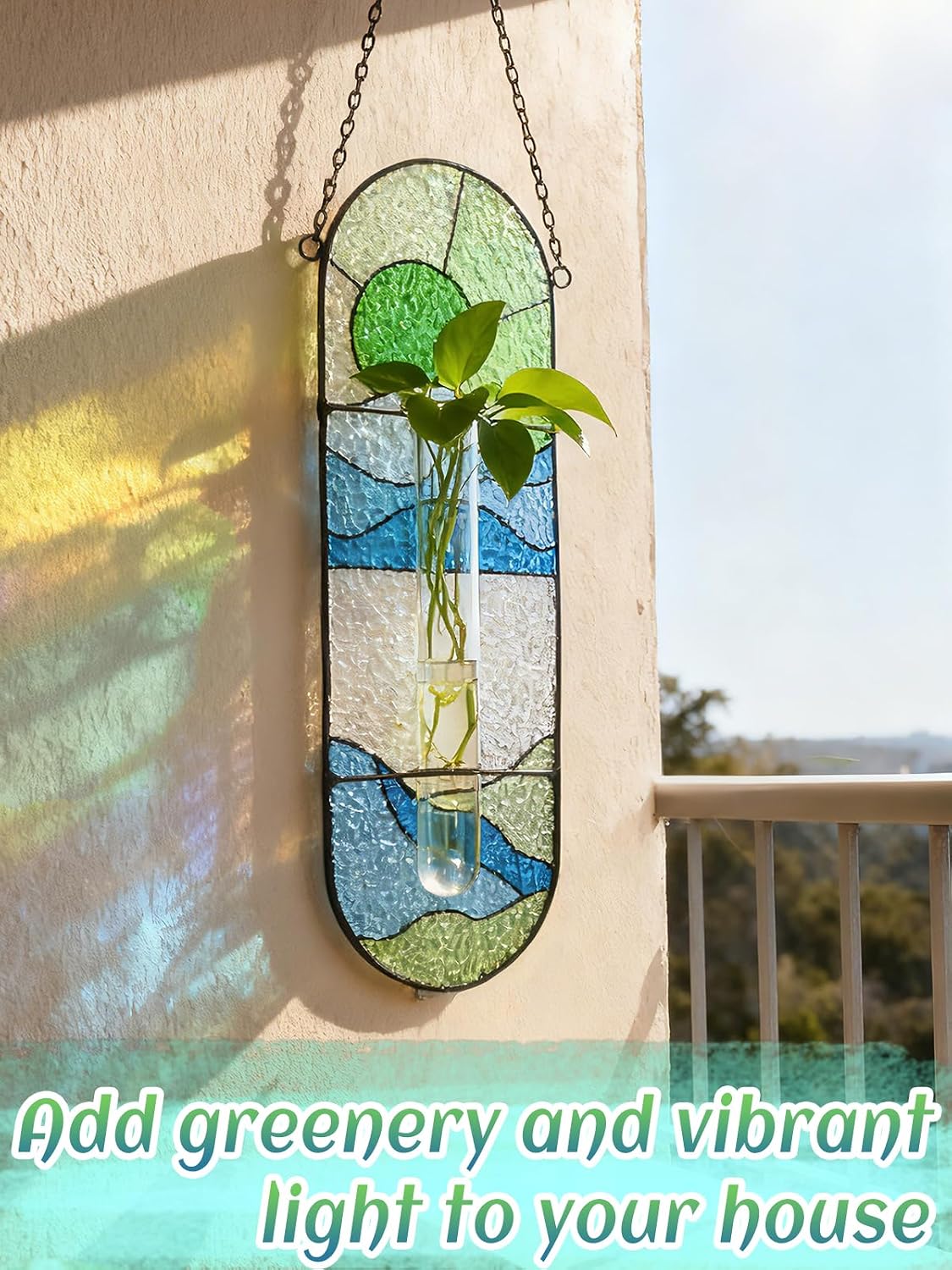 Estación propagación plantas vidrio hidropónica decoración