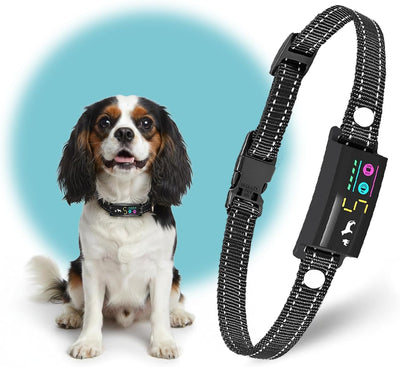 Collar antiladridos perros 8-40lb pitido vibración IP67 negro