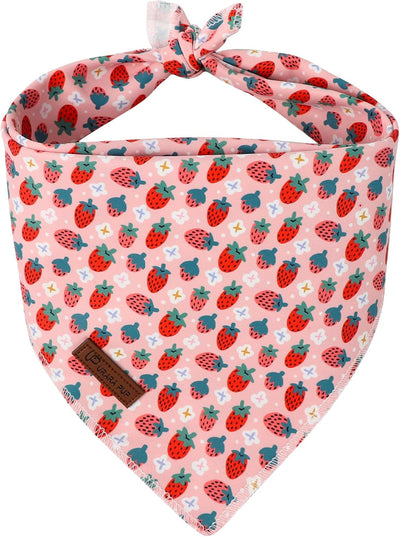 Pañuelo algodón perro fresa triangular L