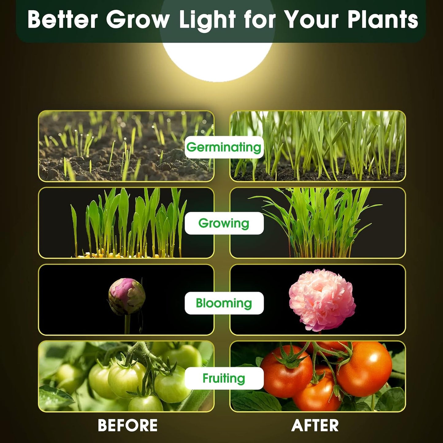Bombilla LED A19 E26 espectro completo 11W para plantas paquete 2