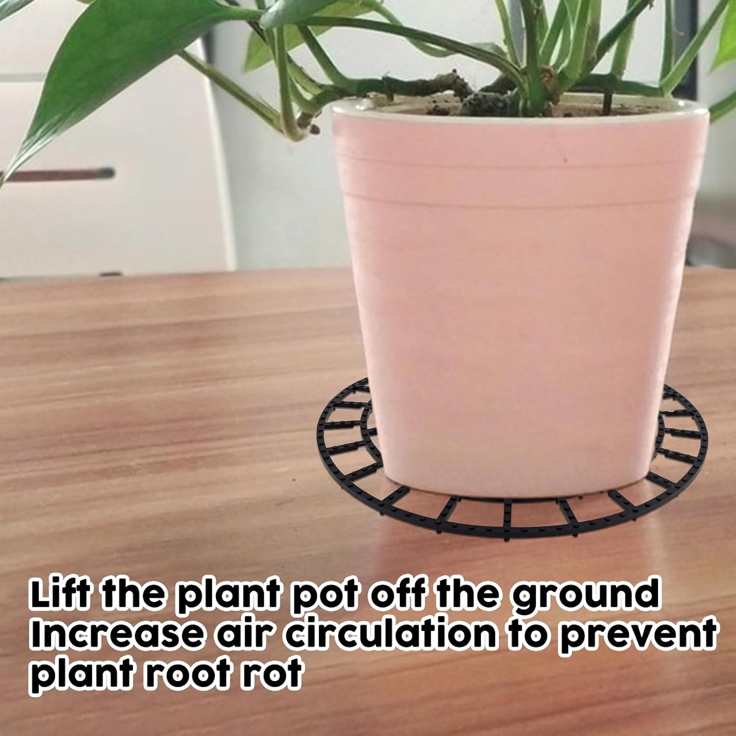 10 Elevadores Plantas 12pulg Soportes Ajustables Interior Exterior