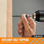 Tornillos #14x2-7/8 pulg 100uds estructura madera exterior