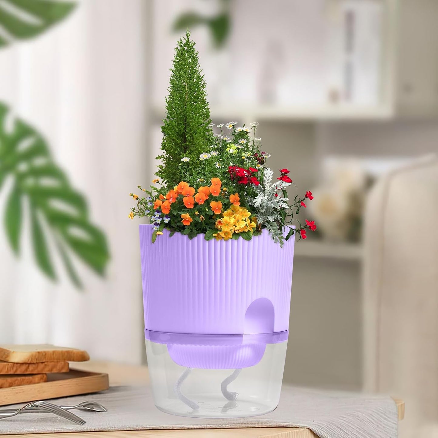 Maceta riego automático 5.5pulg violeta africana cuerda morado
