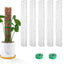 6 Postes Plástico 15pulg para Monstera y Plantas Trepadoras