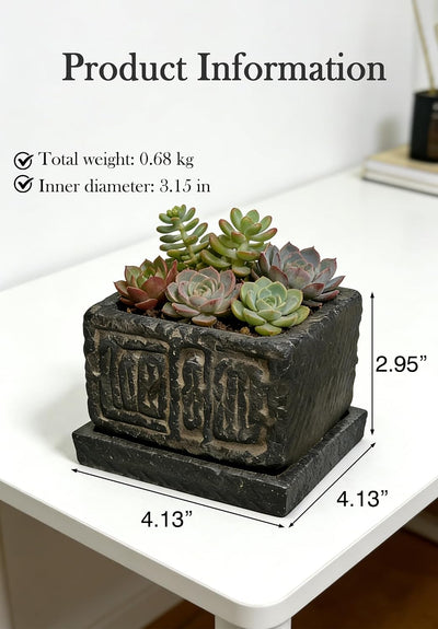 Maceta cuadrada piedra para suculentas y cactus decorativo rústica