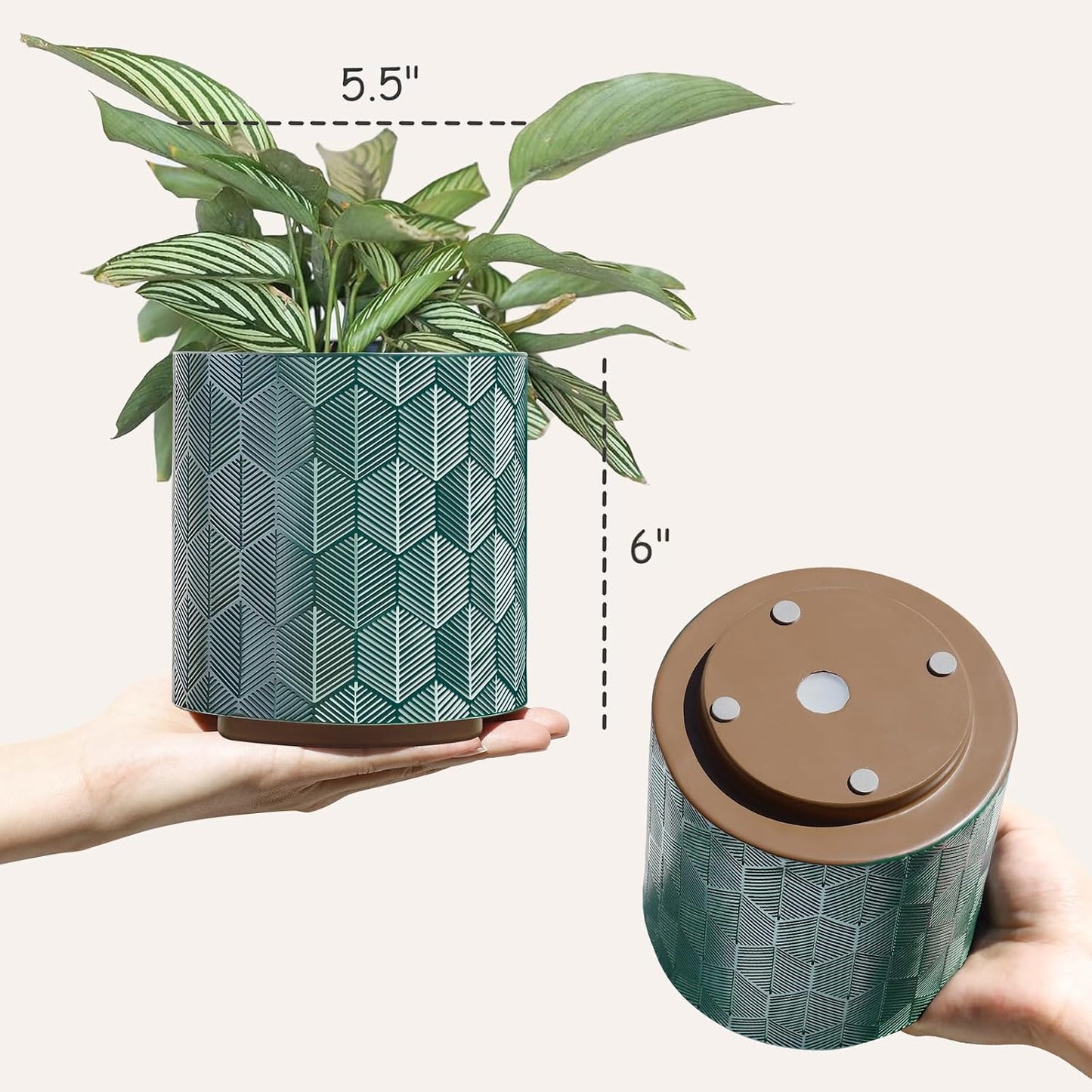 Macetas hexagonales modernas boho para suculentas y plantas