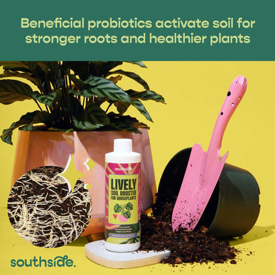 Acondicionador suelo premium para plantas interiores con bacilo