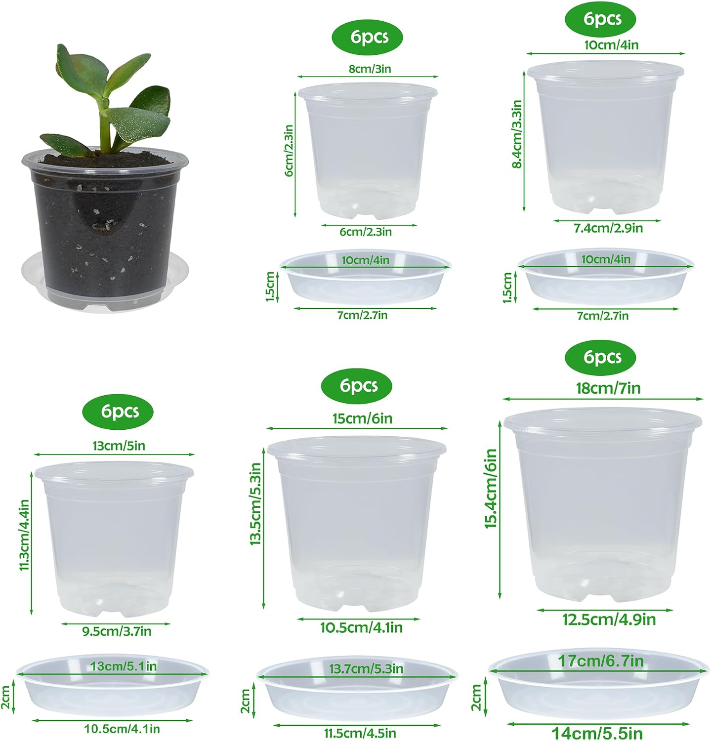 Set 30 Macetas Transparentes con Drenaje y Platillos para Plantas