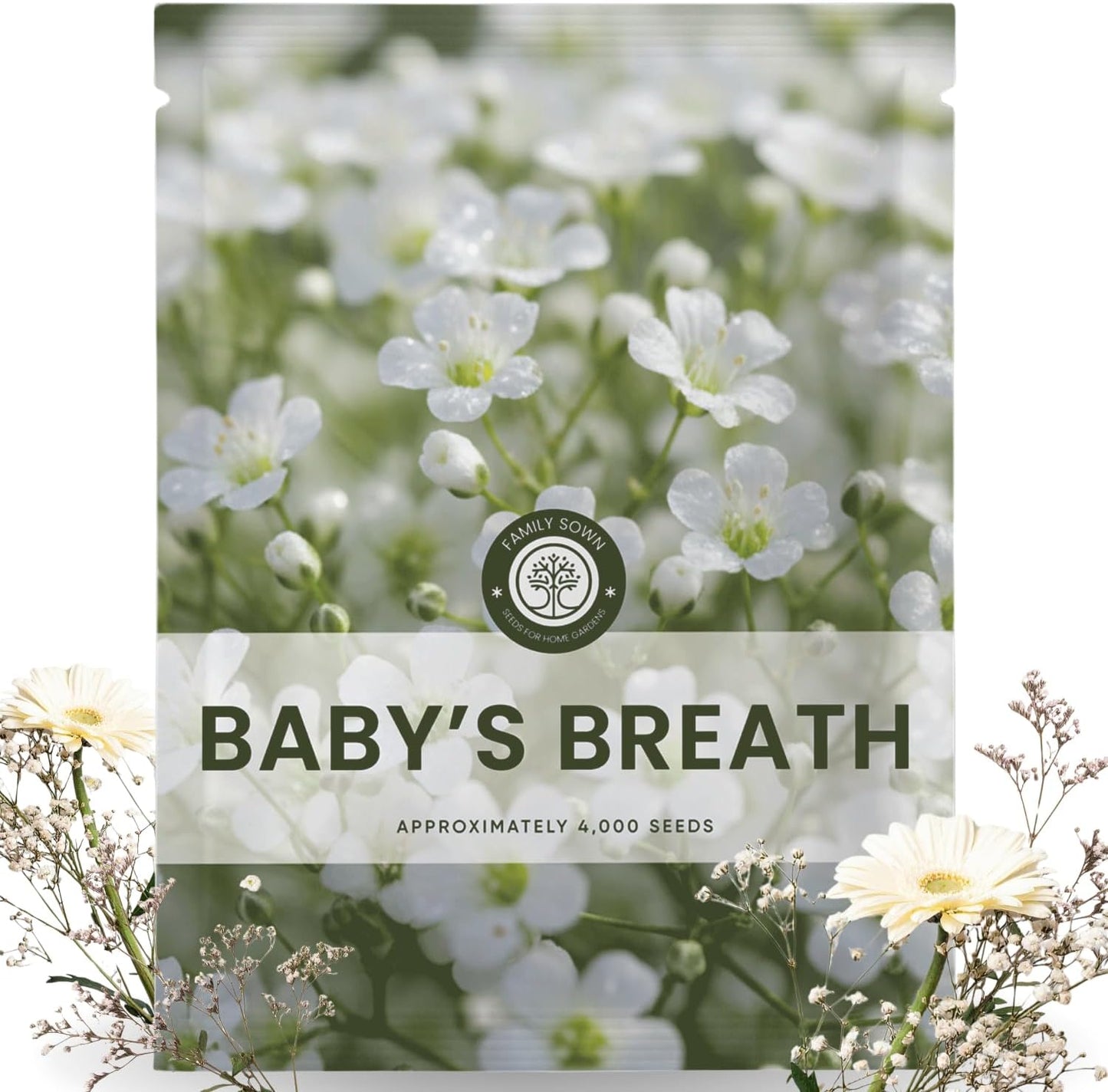 Semillas Baby's Breath 0.18oz Temporada 2026