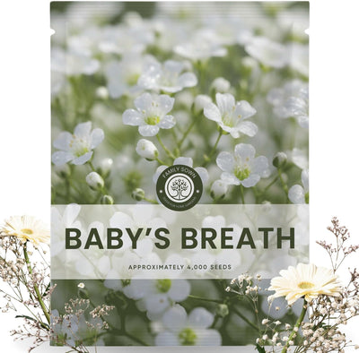 Semillas Baby's Breath 0.18oz Temporada 2026