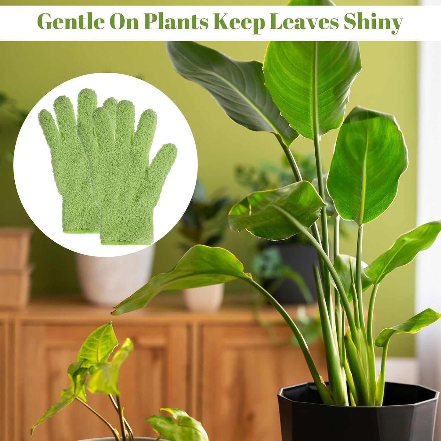 Guantes microfibra para plantas de interior cuidado hojas