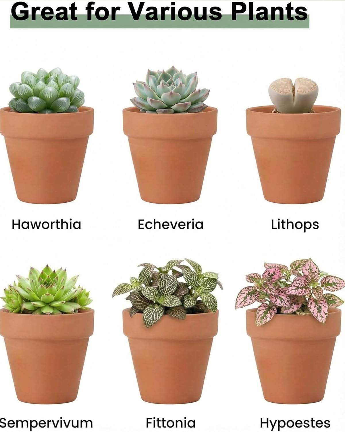 32 Macetas Terracota 2pulg para Cactus Interior/Exterior