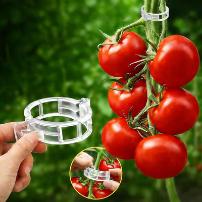 120 Clips Reutilizables para Tomate y Jardín Blanco