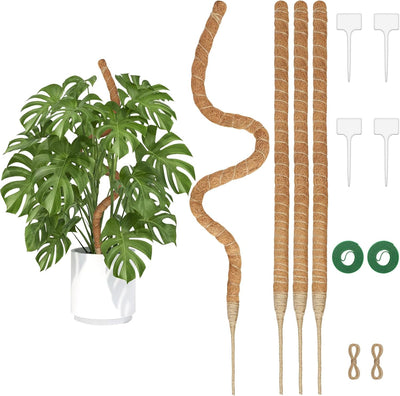 4 Postes Musgo Flex 30pulg para Monstera y Plantas Trepadoras