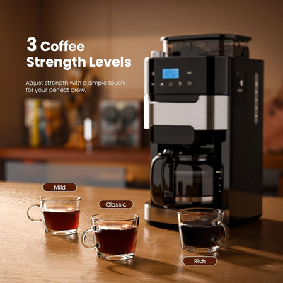 Cafetera digital de goteo Kismile 10 tazas con molinillo integrado