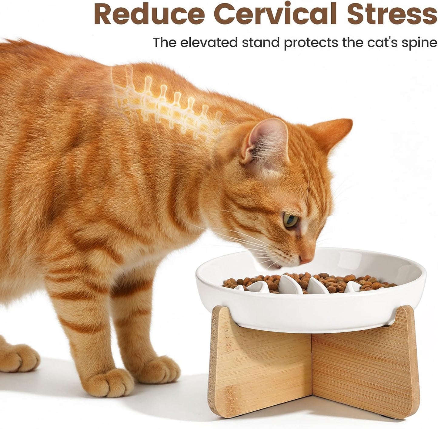 Cuenco elevado cerámica gatos con soporte bambú antivómito