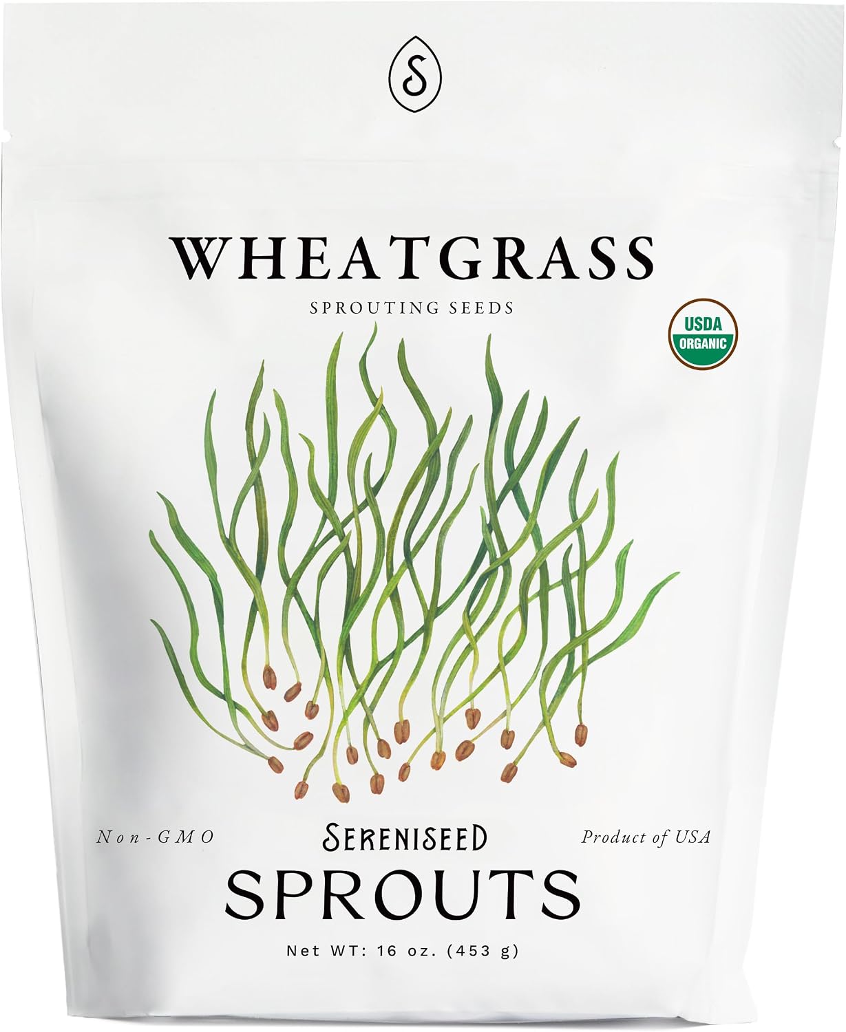 Semillas pasto trigo orgánicas 16oz para germinar